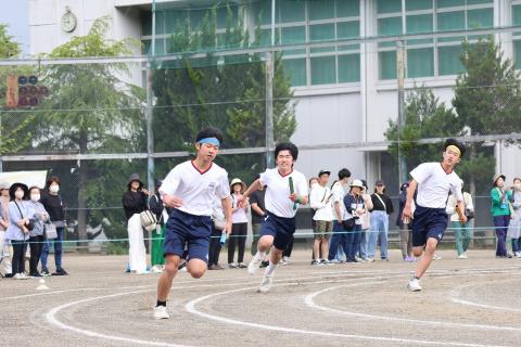 100A5236.jpg