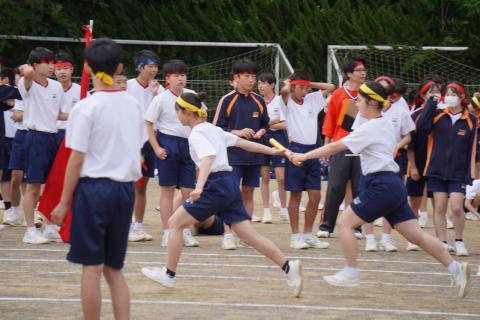 DSC02353.jpg