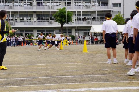 DSC02386.jpg