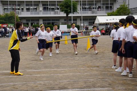 DSC02388.jpg