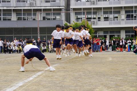 DSC02440.jpg