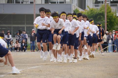 DSC02444.jpg