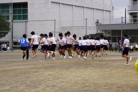 DSC02476.jpg