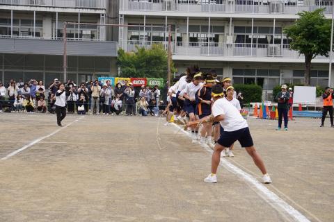 DSC02477.jpg
