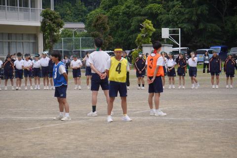 DSC02531.jpg