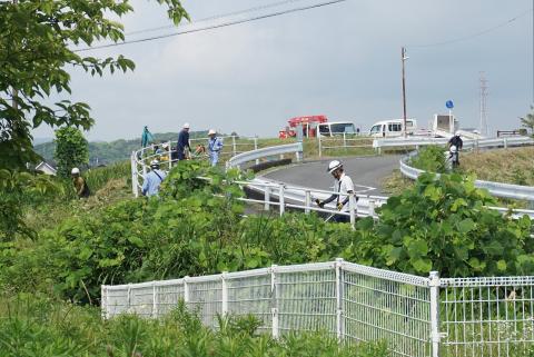 DSC04285.jpg