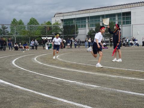 DSC08787.jpg