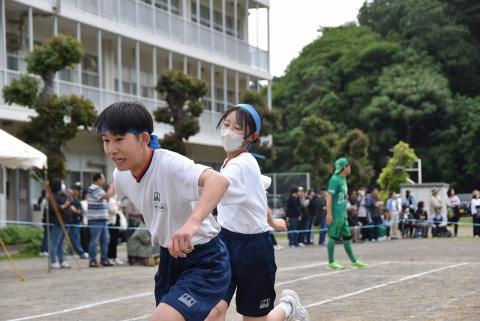 DSC_0003.jpg