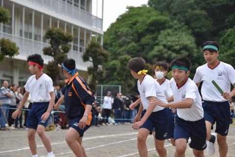 DSC_0078.jpg