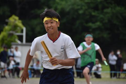 DSC_0225.jpg