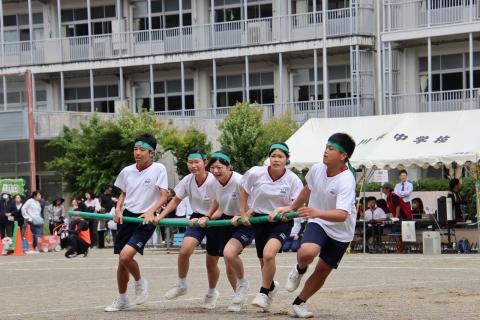 IMG_1489.jpg