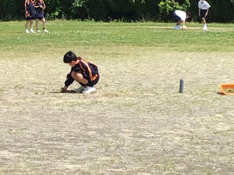 IMG_2061.jpg