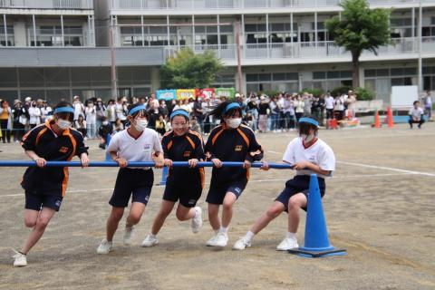 IMG_3238.jpg