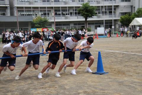 IMG_3255.jpg