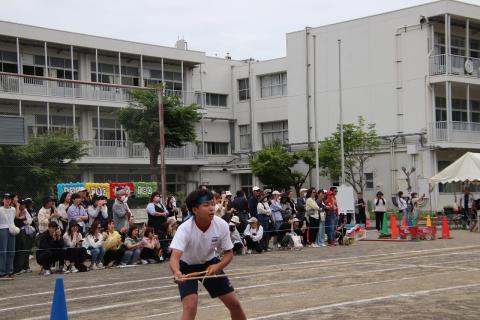 IMG_3378.jpg