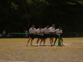 r80525tai10
