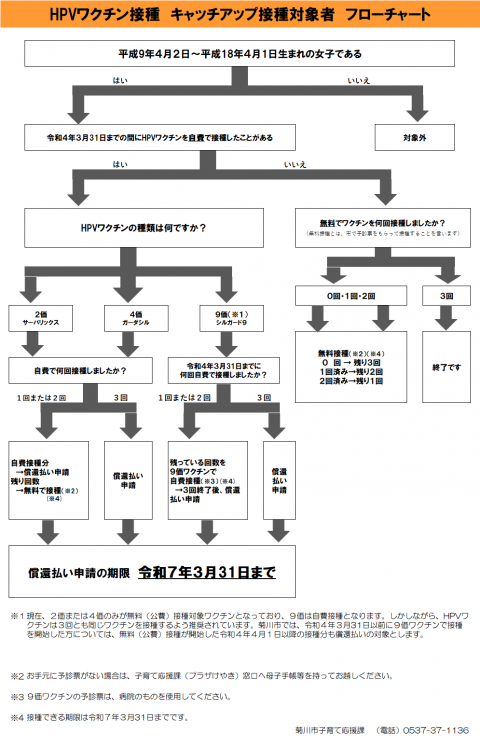 HPVフローチャート