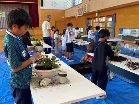 植え付けの様子3