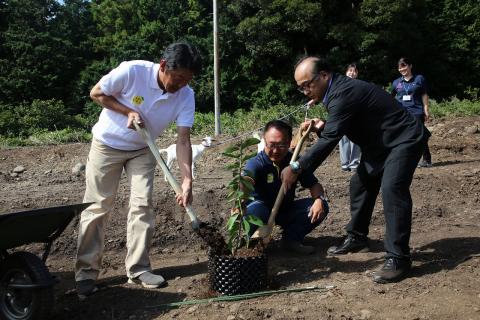 レモン市長植樹