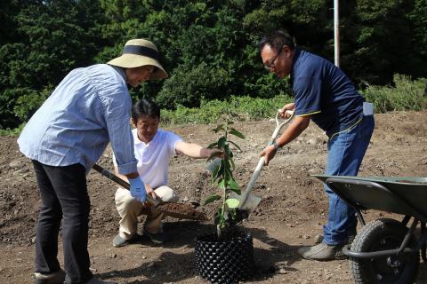 レモン山村植樹