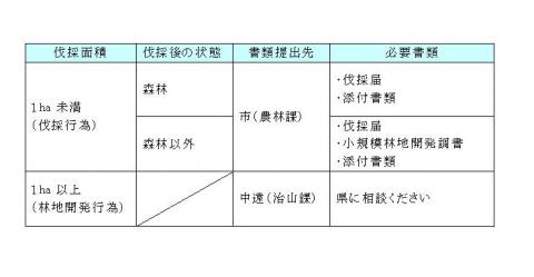 現地確認