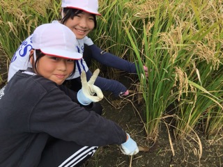 う