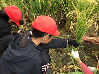 お