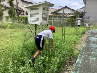 に