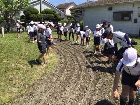 種まき2