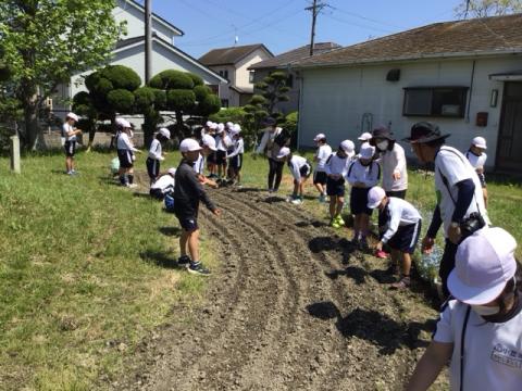 種まき1