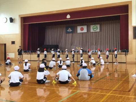 体育3