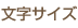 文字サイズ