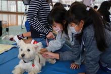 動物愛護5