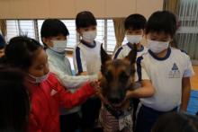 動物愛護6