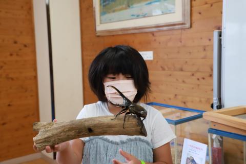 ひらかわ昆虫展1