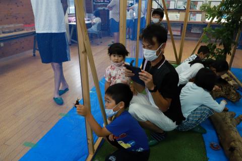 ひらかわ昆虫展2