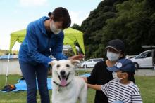 災害救助犬6