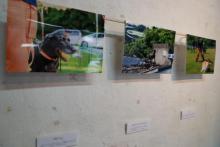 写真展1