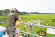 田んぼアート4