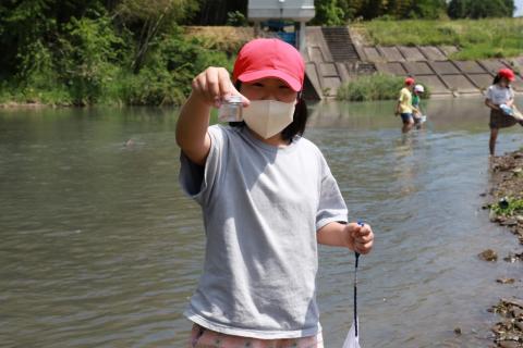 河城小4年水生生物調査3