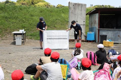 河城小4年水生生物調査6