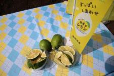 レモン3