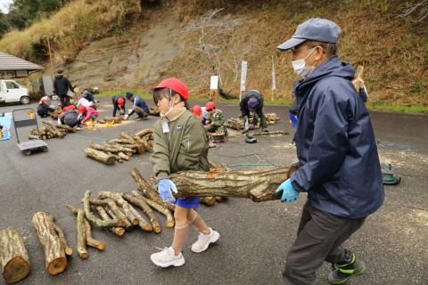 横地小しいたけの菌植え6