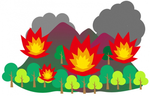 林野イラスト