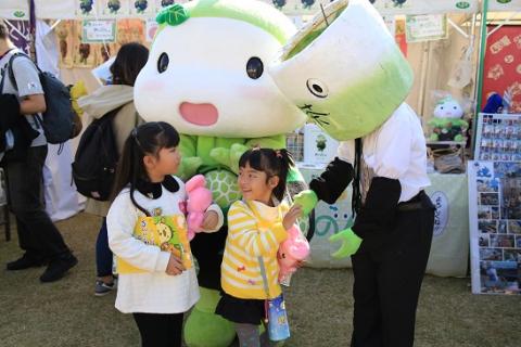 えひめ6