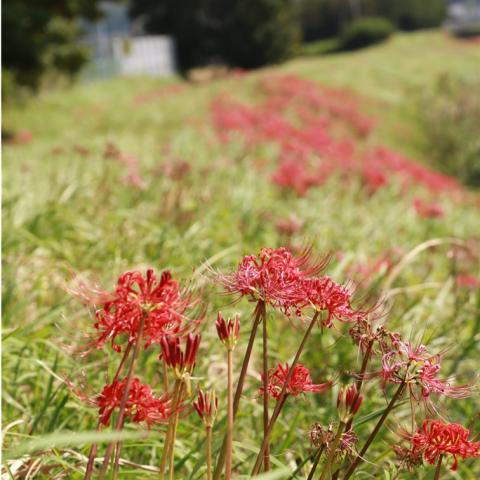 9月