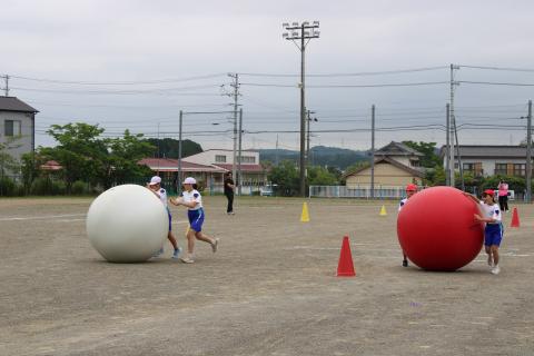 26