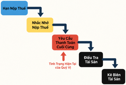 催告段階図(ベトナム語)